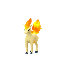 Ponyta